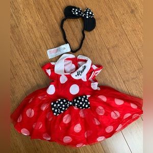 Disney Minnie Mouse Costume